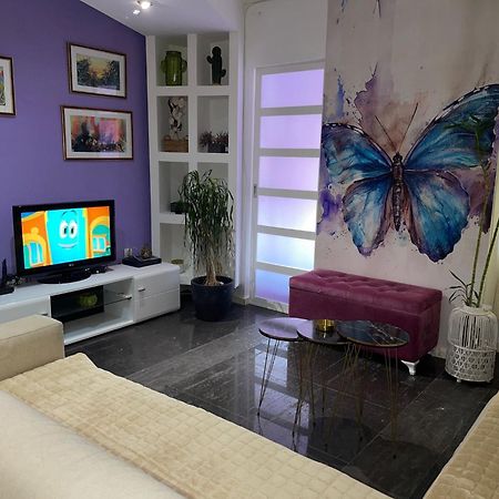 Dorotea Butterfly Budva Exterior foto