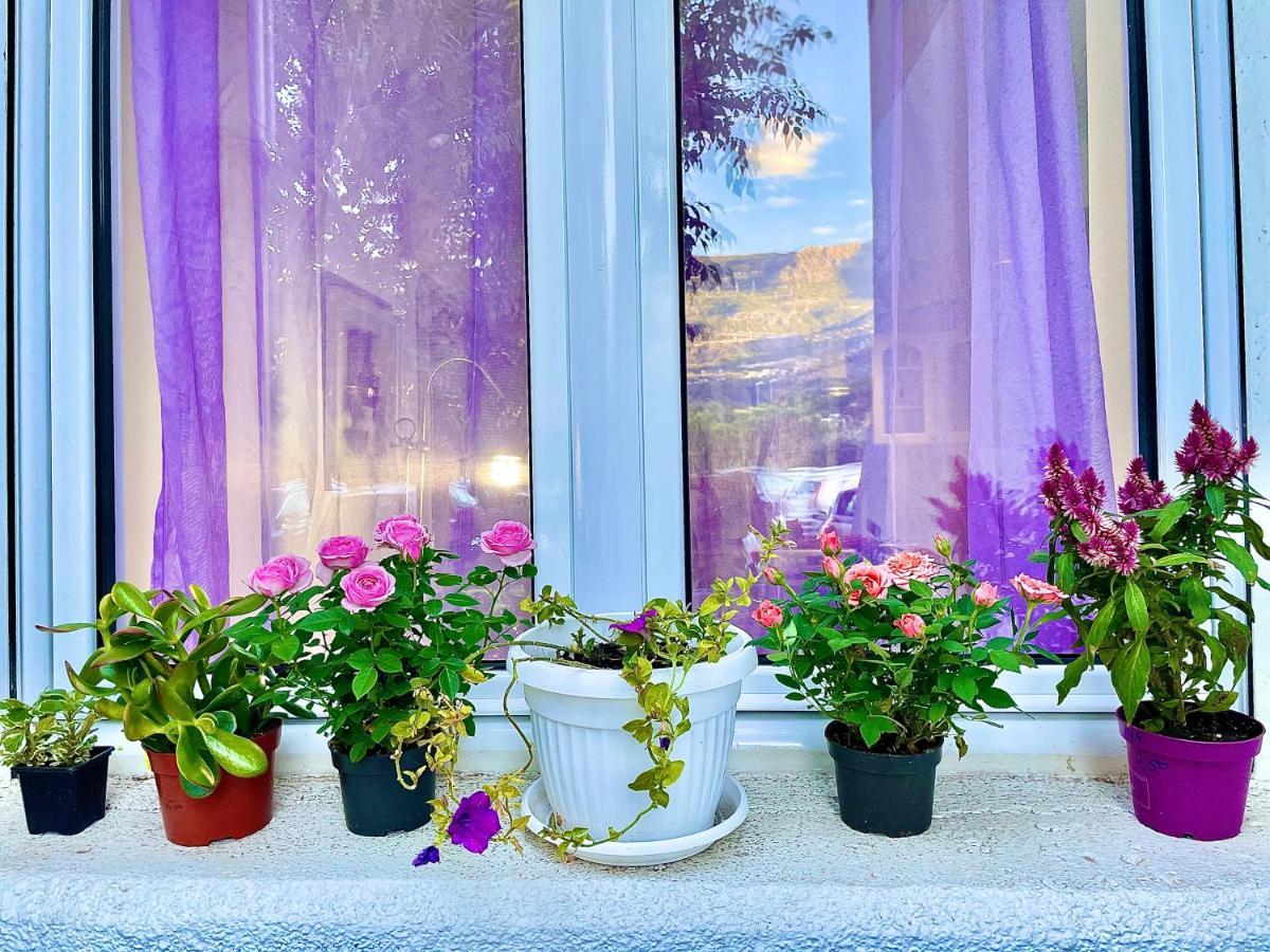 Apartamento Dorotea Butterfly Budva Exterior foto